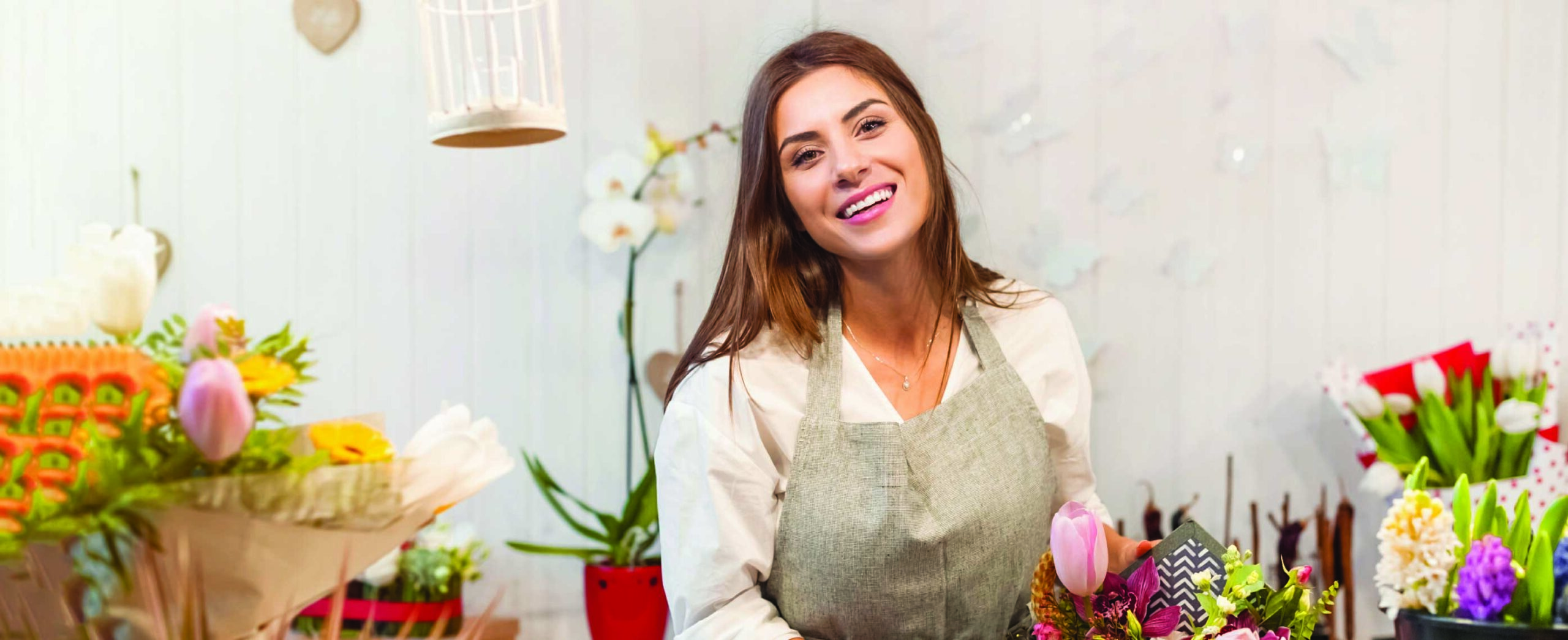 CPBR-website-poza-slider-imm